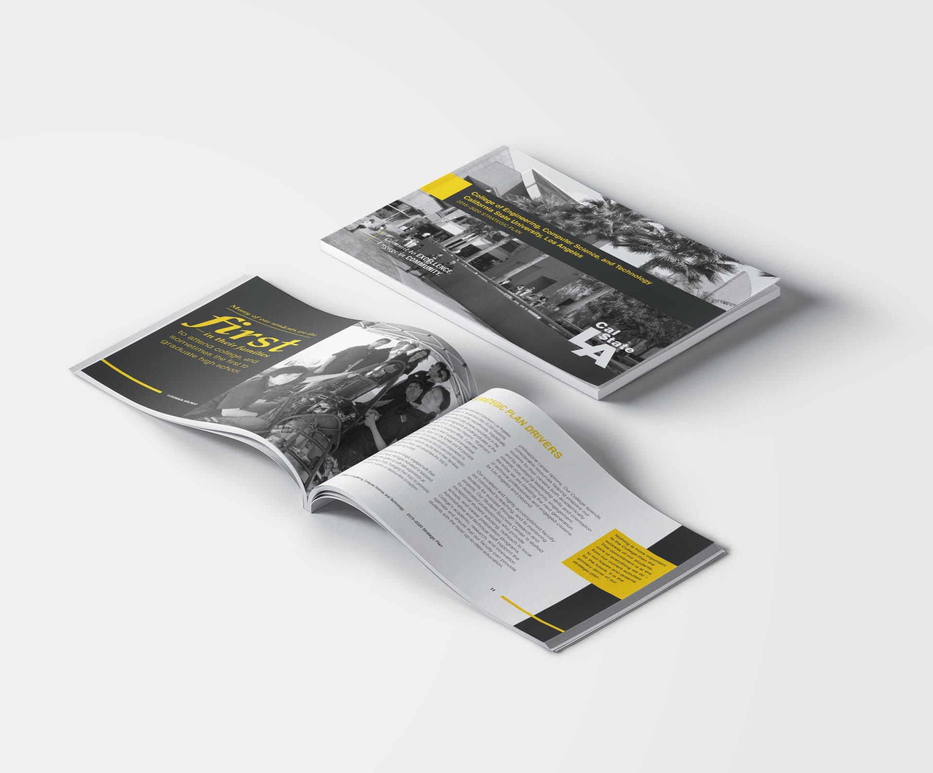 strategic report